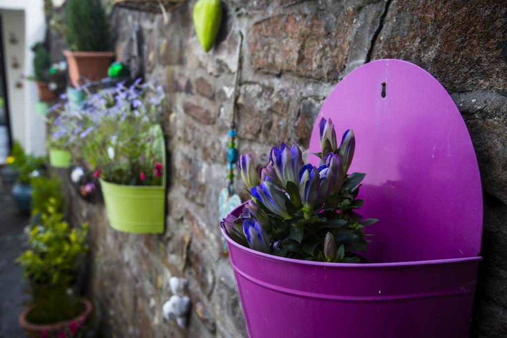 The Moda House Chipping Sodbury Bagian luar foto